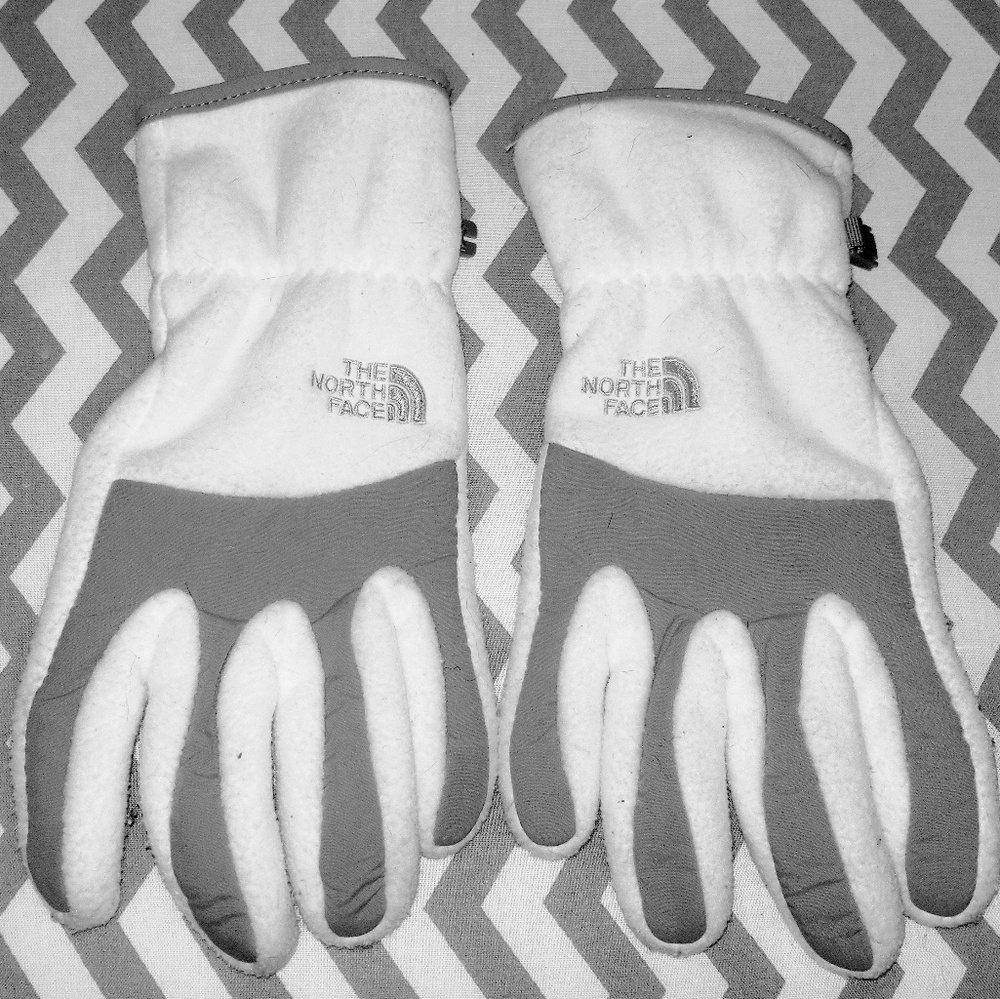 The North Face gloves